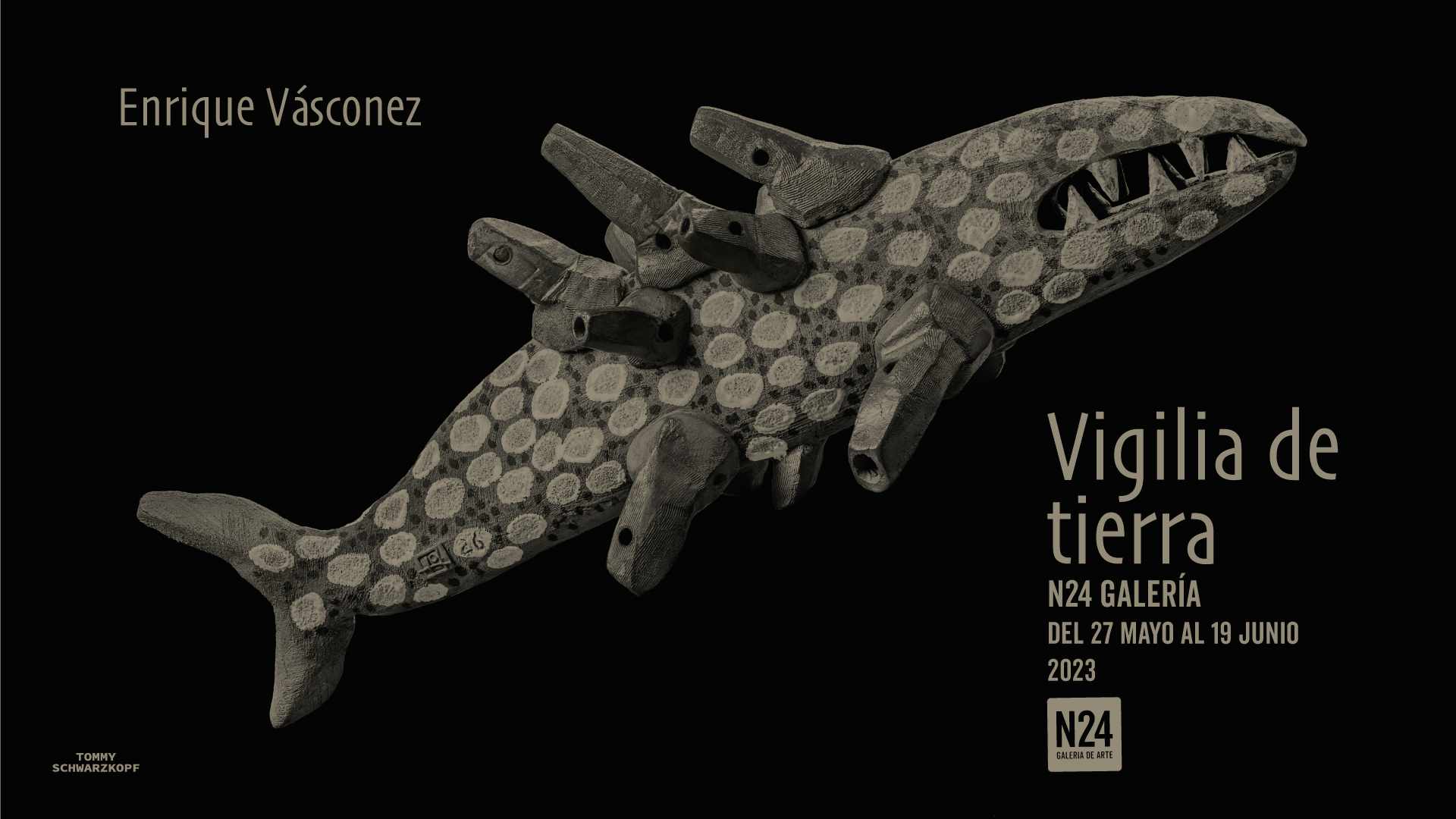 Vigilia de tierra | Enrique Vásconez