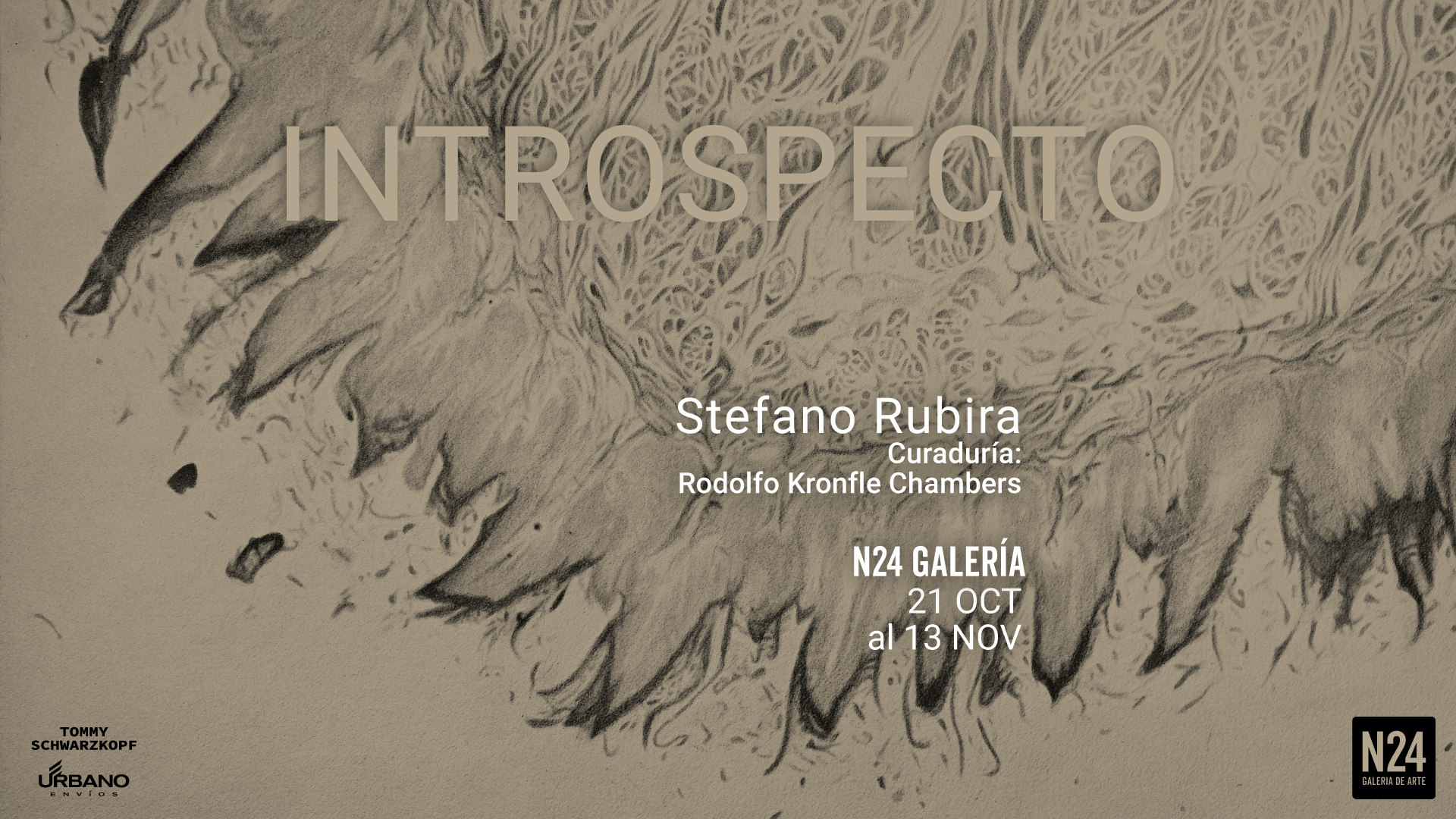 Introspecto | Stefano Rubira